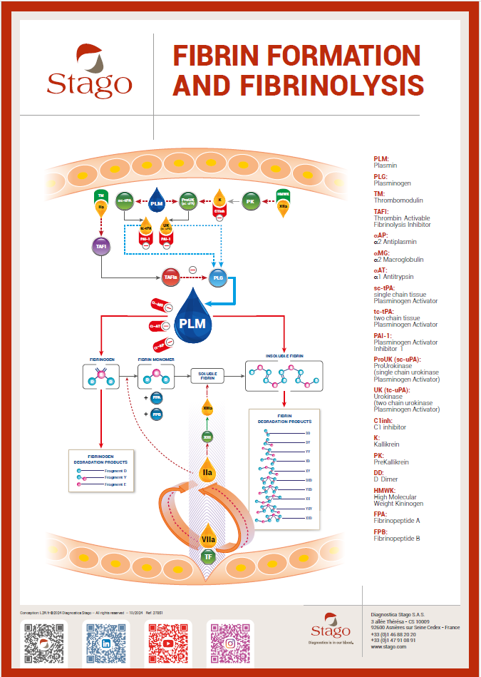 Fibrin and fibrinolysis