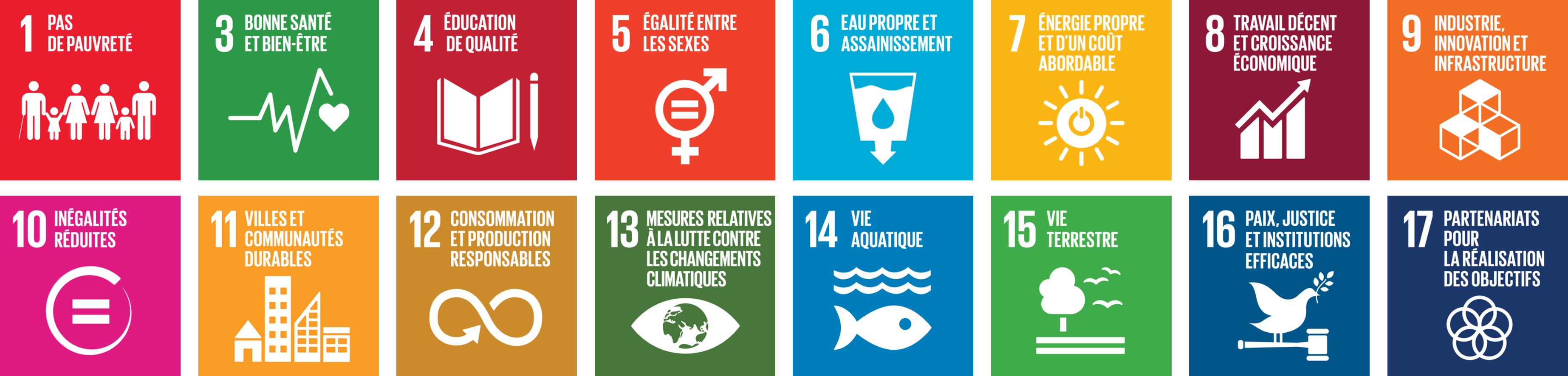 Objectifs de l'ONU