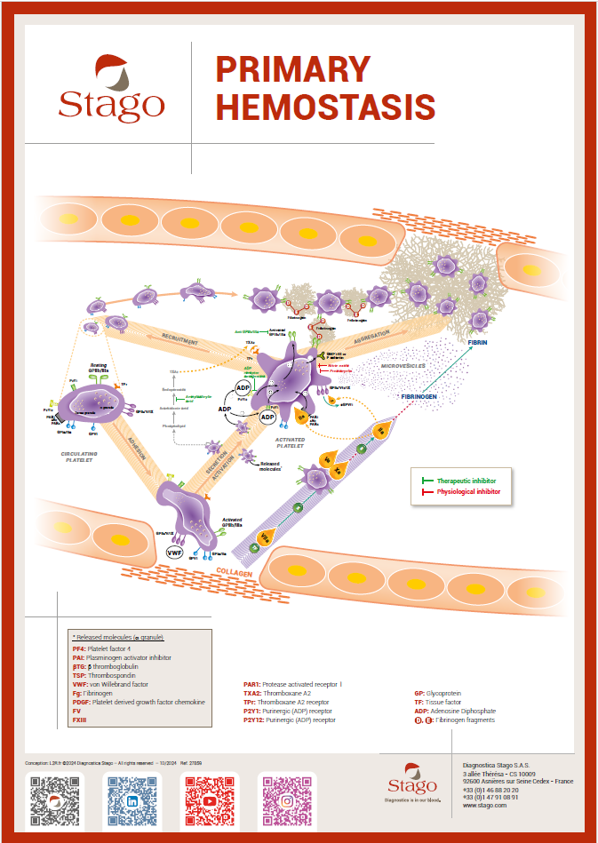 Primary hemostasis