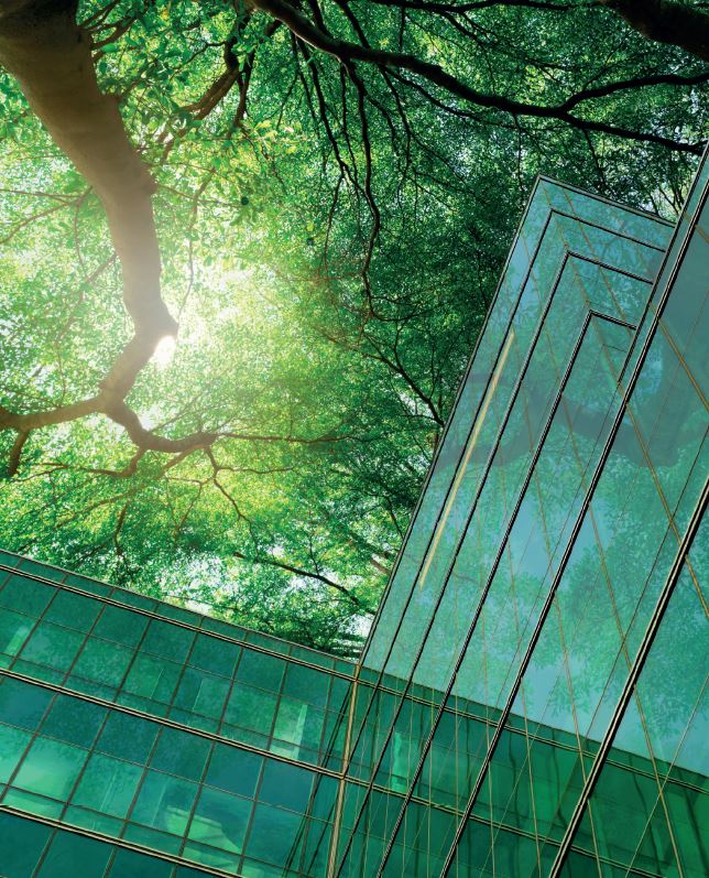 Responsabilité environnementale : bâtiment éco-responsable dans une forêt