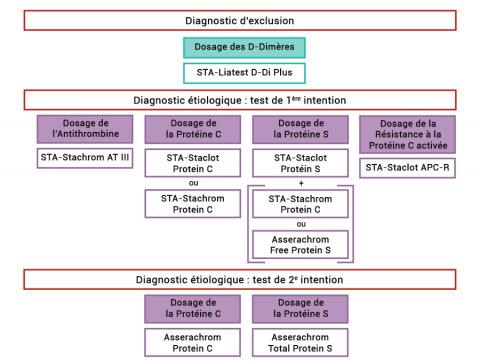 Diagnostic d'exclusion_Thrombophilie_FR_Stago